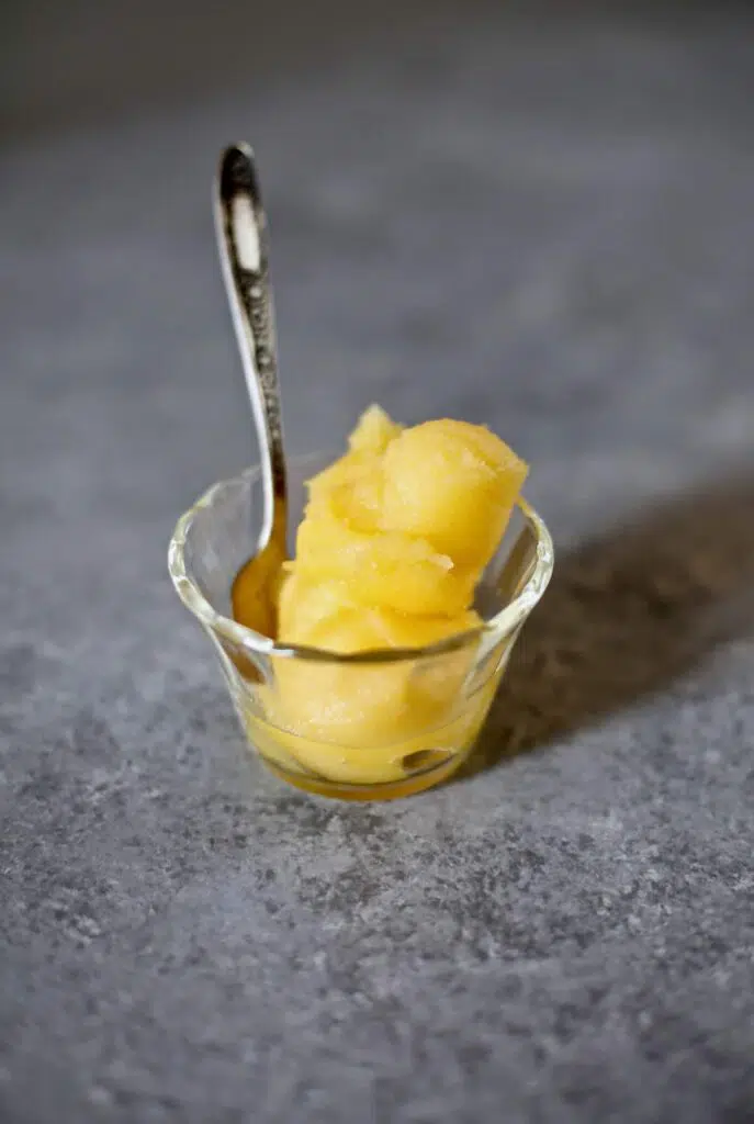 sorbet in a small glass cup with spoon