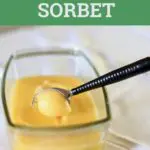 a container of sorbet with a scoop
