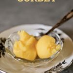 two scoops of sorbet in a glass bowl