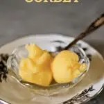 two scoops of sorbet in a glass bowl