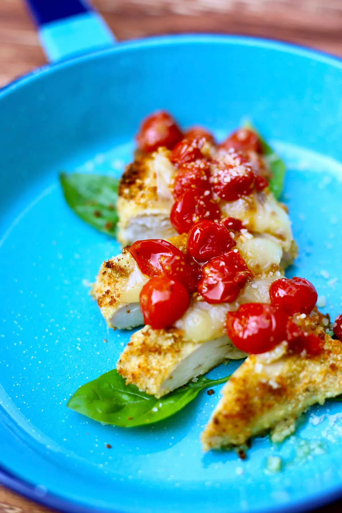 a close up photo of chicken and tomatoes and basil on a blue skillet.