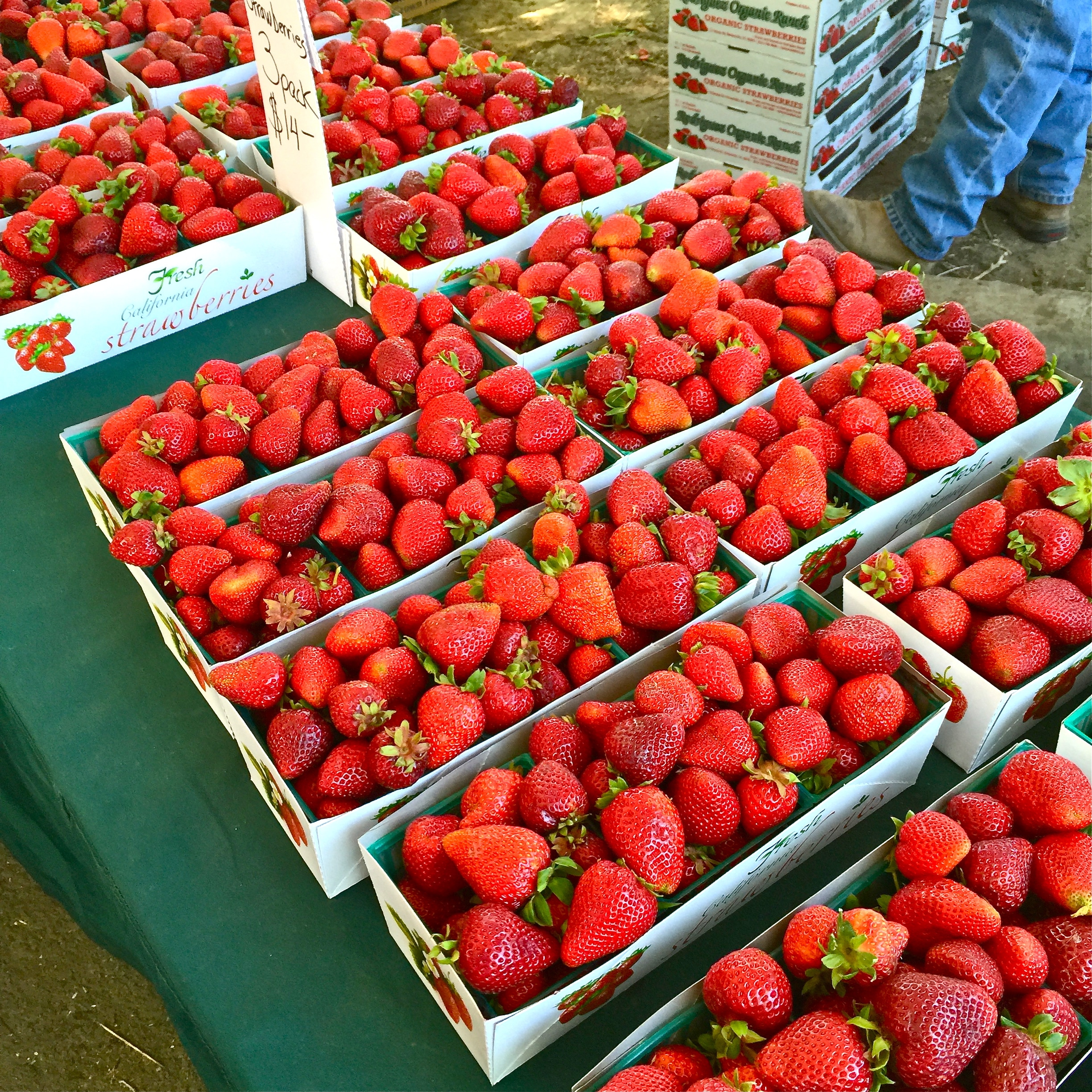 Strawberry Shortcake Cookies rows and rows of fresh strawberries at the Farmers Market.