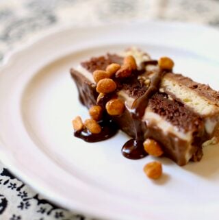 ice cream cake with peanut butter ganache on a white plate with peanuts