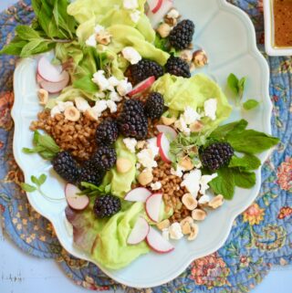 Salad with hazelnuts and blackberries goat cheese grains and radish on a long blue plate on a table