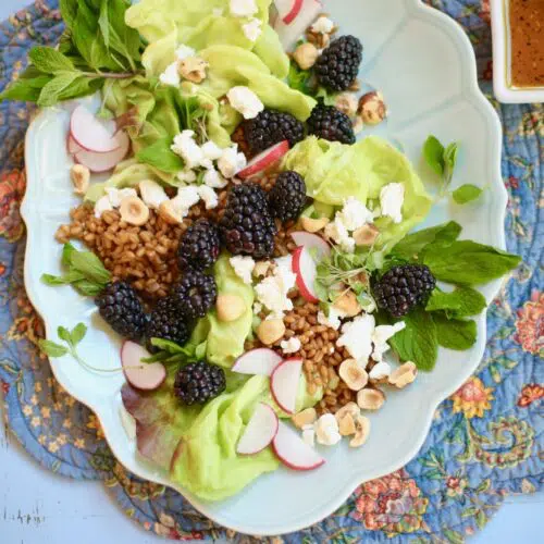 Salad with hazelnuts and blackberries goat cheese grains and radish on a long blue plate on a table