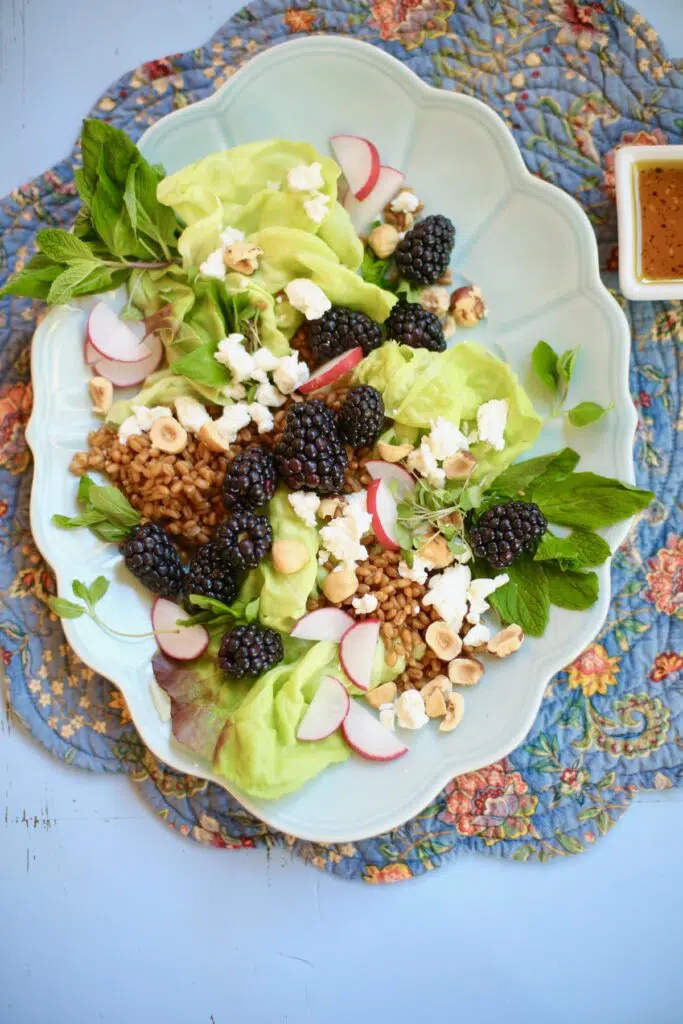 Salad with hazelnuts and blackberries goat cheese grains and radish on a long blue plate on a table