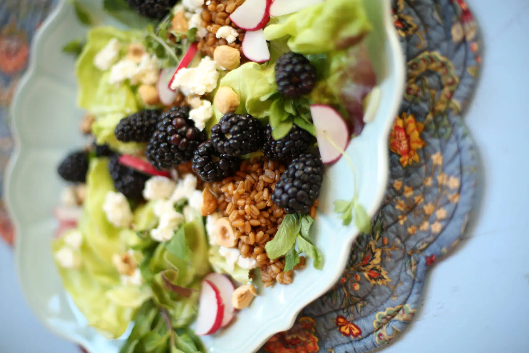 close up of balckberry salad with grains and hazlenuts and goat cheese and radish on a blue plate and table 