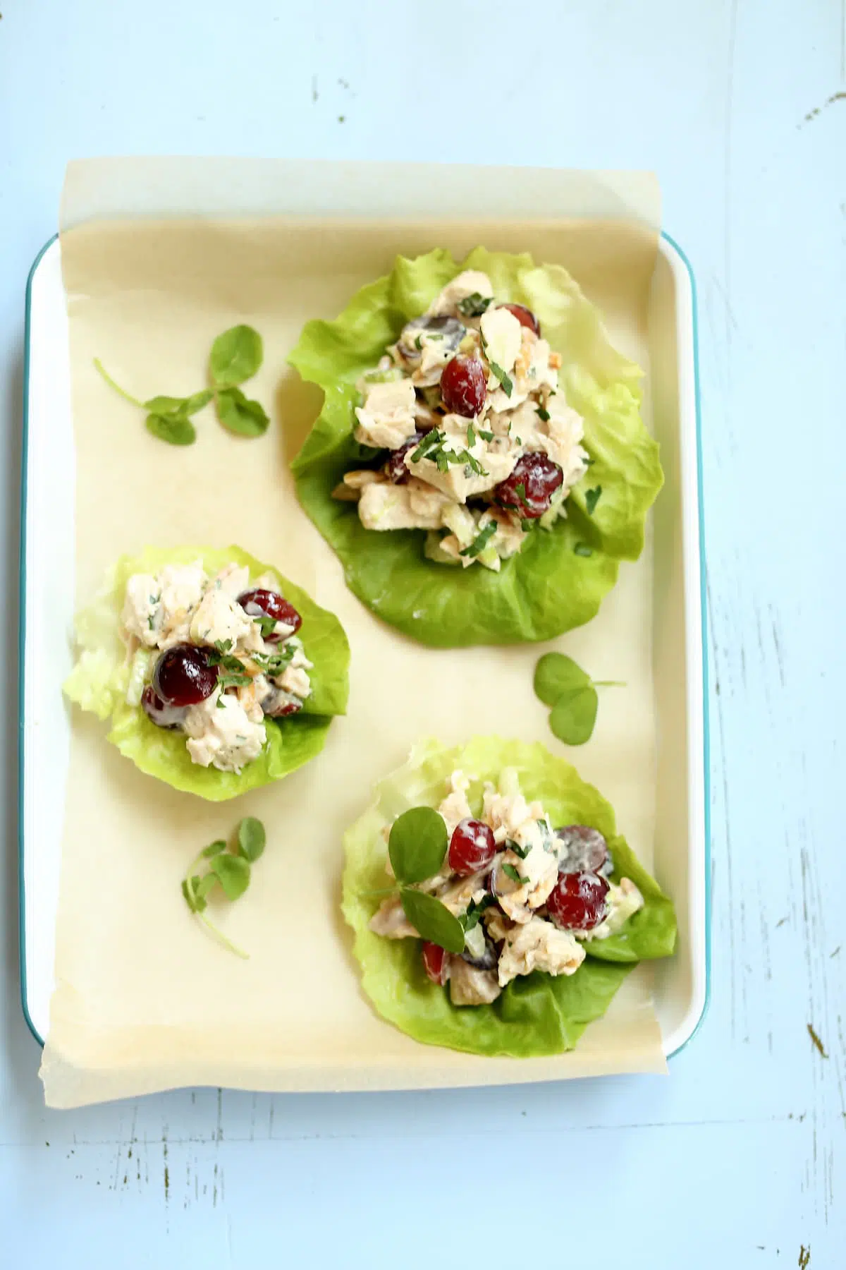 three lettuce leaves with chicken salad on them on a tray with blue background.