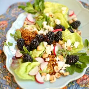 a plate with salad on it. Goat cheese,blackberriesm and greens.