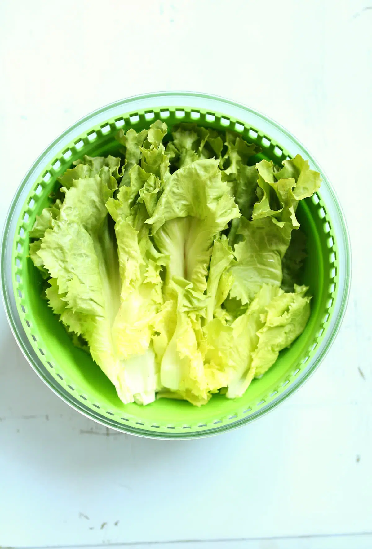 a head of escarole in a salad spinner.