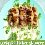 a plate of chicken skewers with a text overlay saying the recipe name.