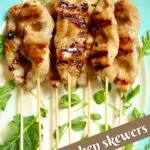 a platter with chicken skewers with text overlay saying the recipe name.