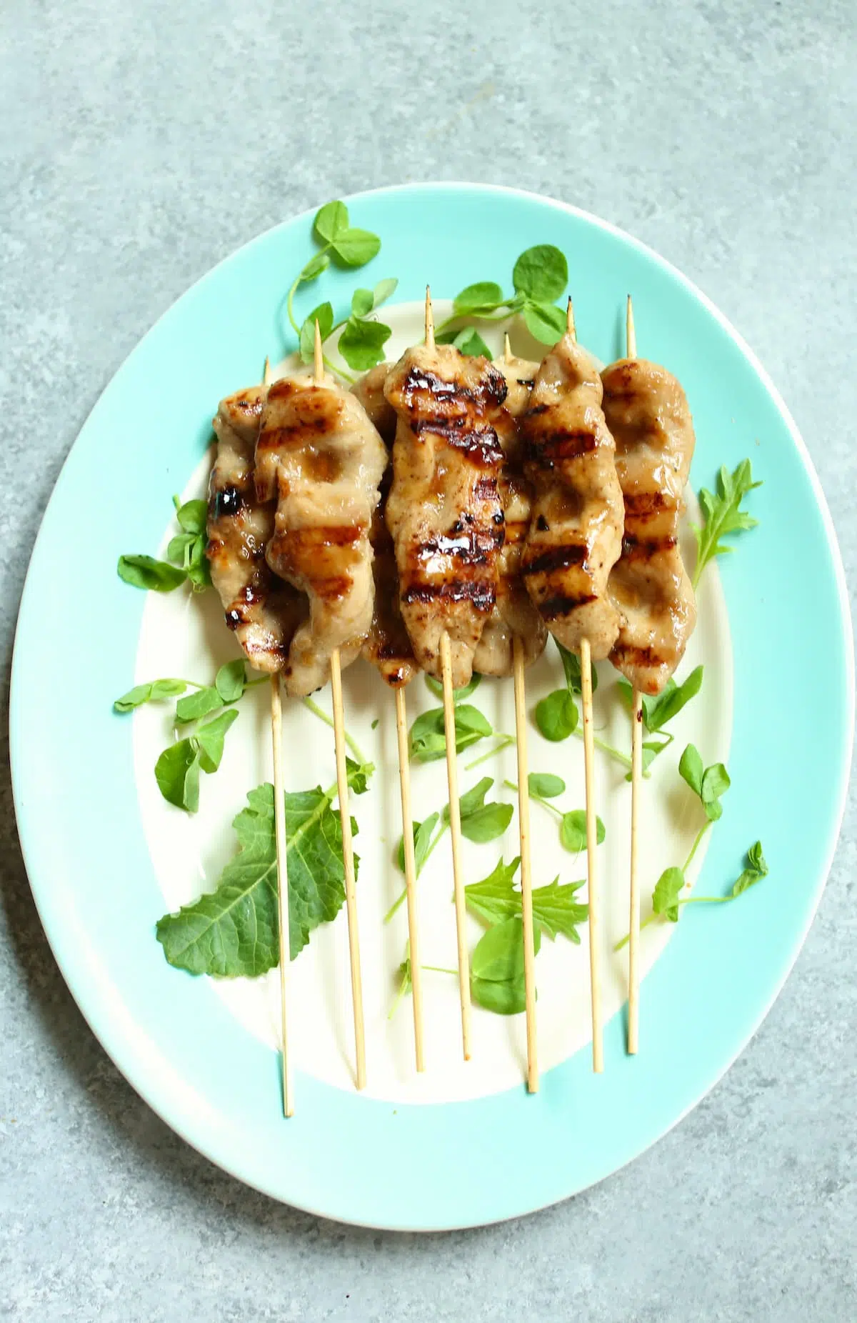 Grilled Teriyaki Chicken Skewers Recipe - Appetizer Addiction