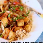 a plate of tofu and eggplant on rice with text overlay.