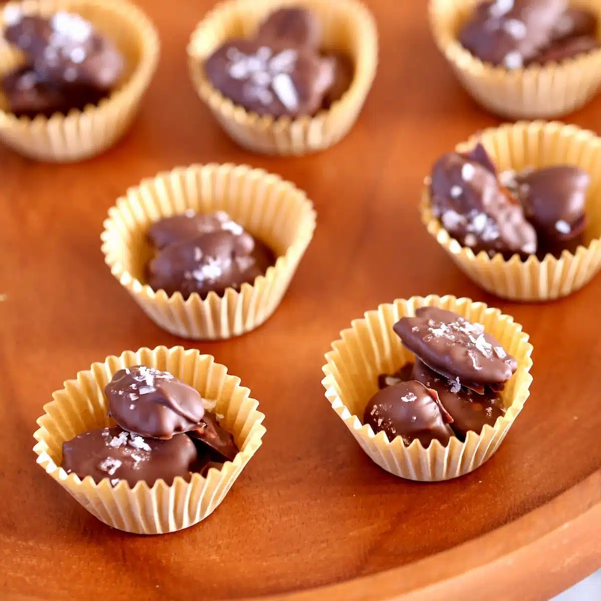 a close up photo of chocolate covered pecans.