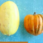 a pinterest image of squash with text overlay.