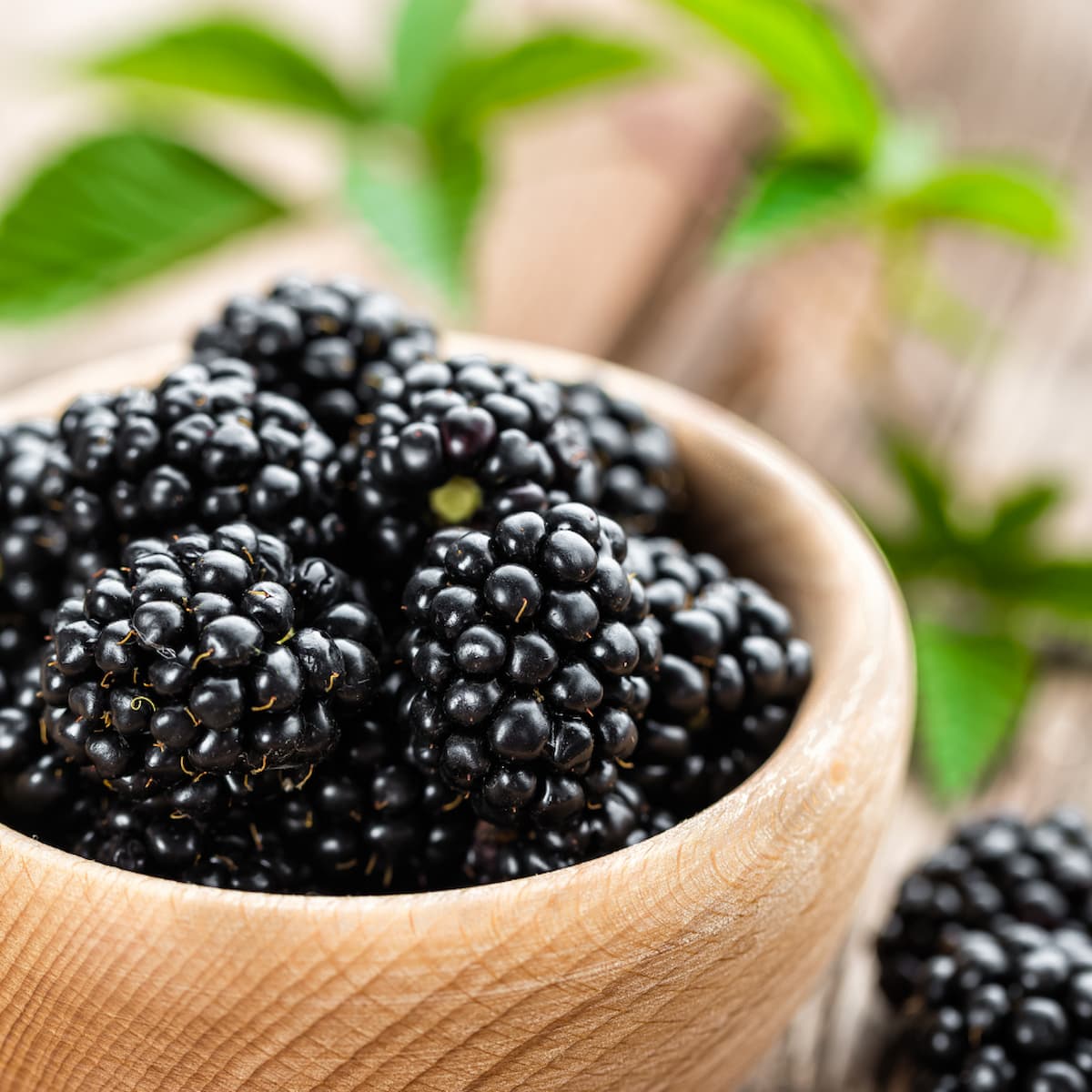 a square image of blackberries in a wooden bowl.