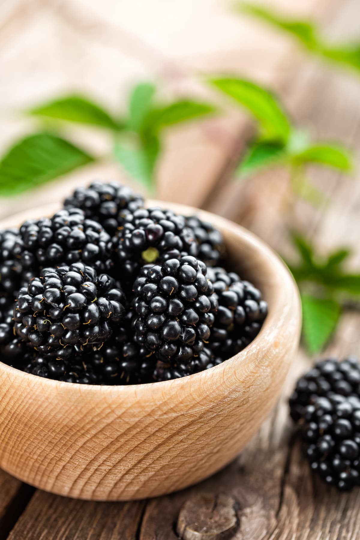 a picture of blackberries in a wooden bowl on a table.