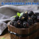 a dark photo of blackberries in a basket with text overlay.