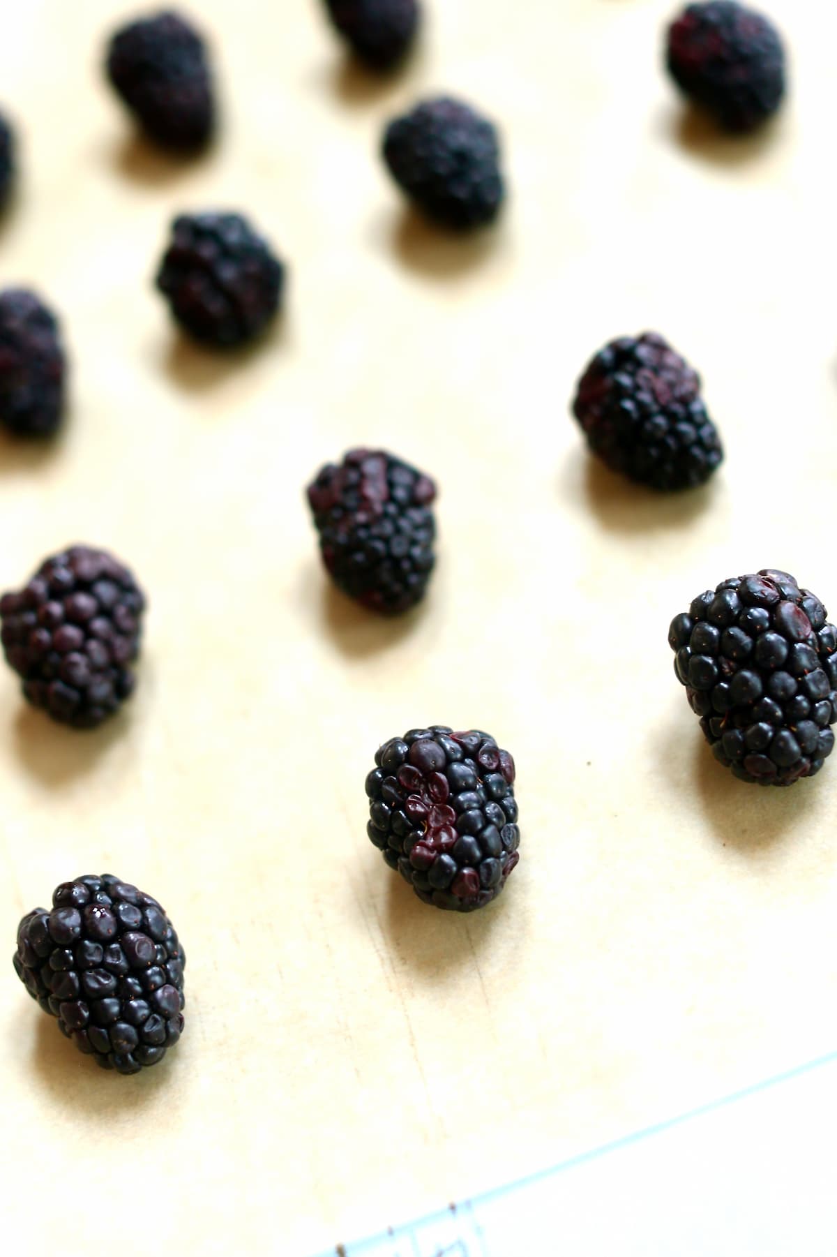 a side view of blackberries that are past their prime.